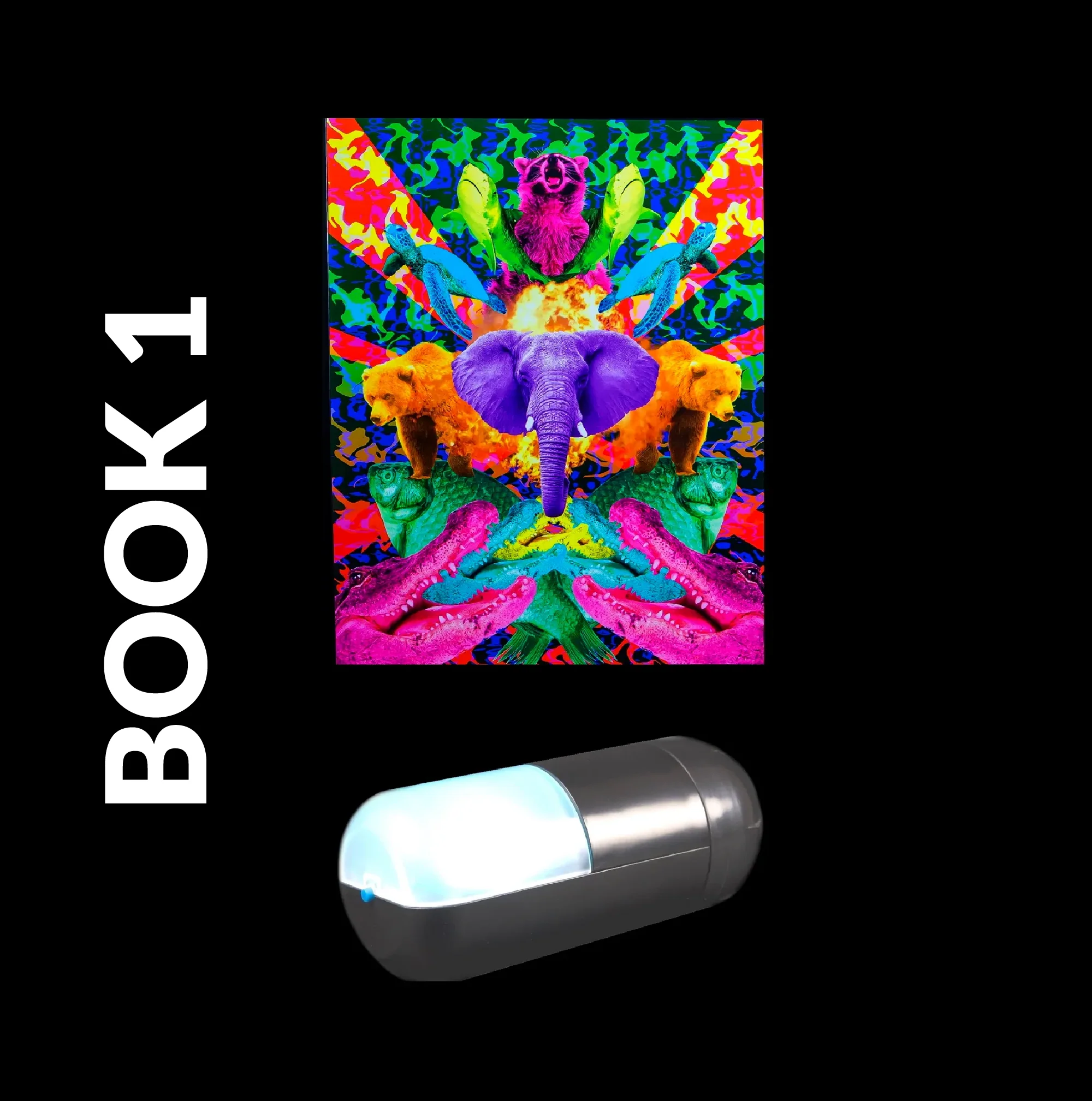 Colorizer + 1 Visuals Book - Image 3