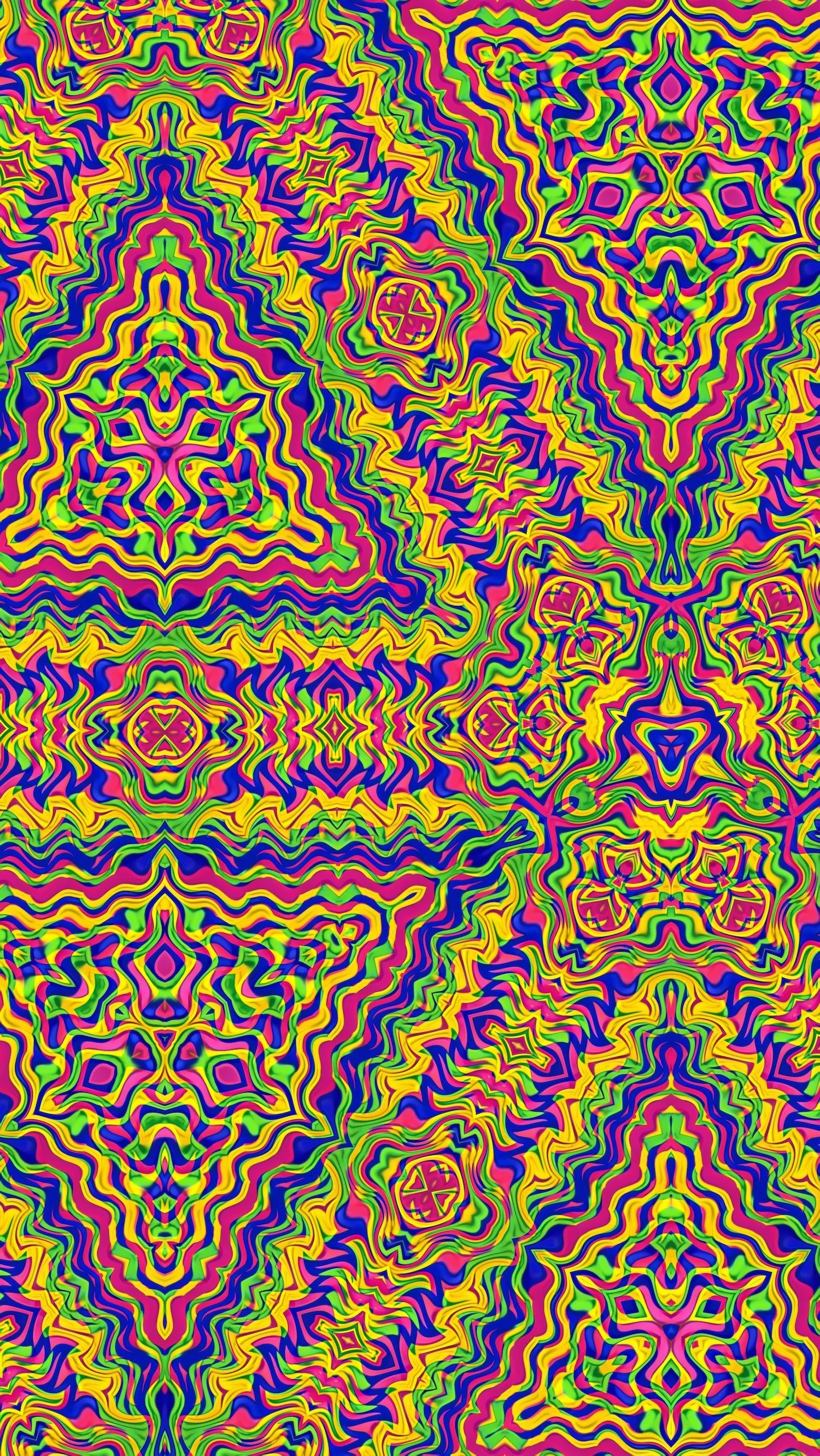 FYU - Image 2