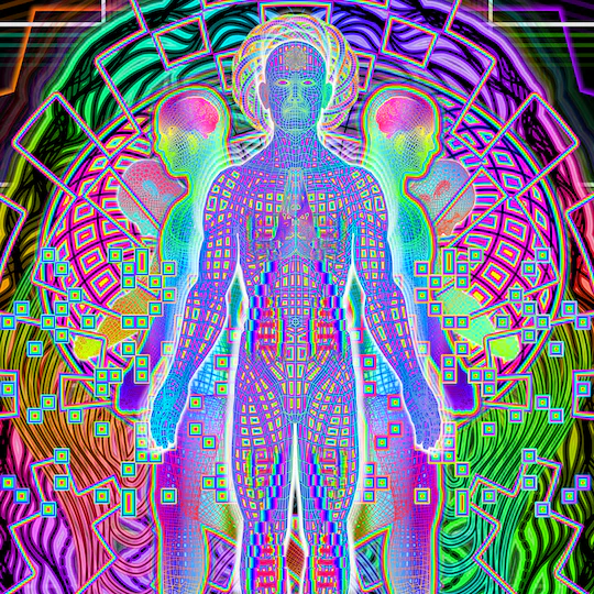 Simulation